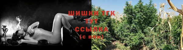 ПСИЛОЦИБИНОВЫЕ ГРИБЫ Абдулино