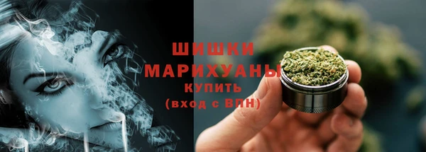 ПСИЛОЦИБИНОВЫЕ ГРИБЫ Абдулино