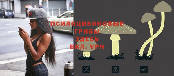 a pvp Абинск