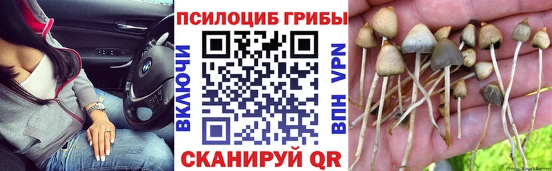 Галлюциногенные грибы Cubensis  Камышлов 